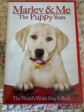 Puppy Years Dog Collar - Red